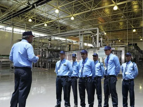 Industrial & Factory Security in Mandi, Himachal Pradesh - V7 Securities Group